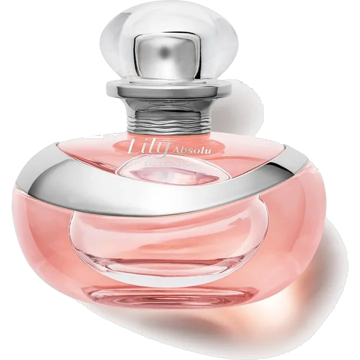 Lily Absolu – Patty Moda & Beleza